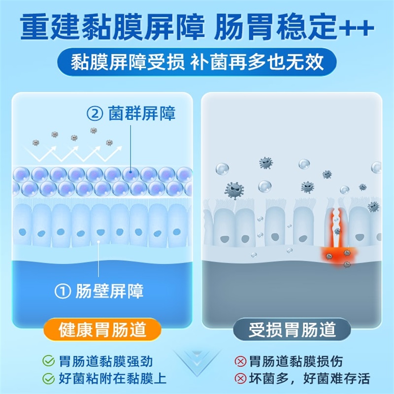 英国LifesFlora/舒伯特益生菌养胃粉胃部活性广谱调理肠胃道消化 - 图2