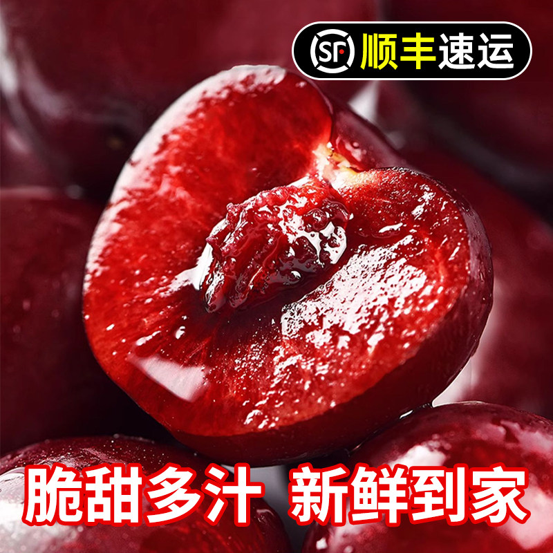  聚牛果园车厘子/樱桃