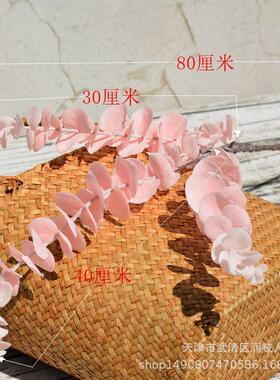 AL-105s网红单支胶片尤加利仿真物金钱叶背景墙n婚庆造景摄植影i