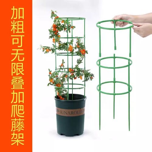 植物支架通用型花架拼接园艺兰花阳台花架子支撑杆内家用园林摆件 - 图3