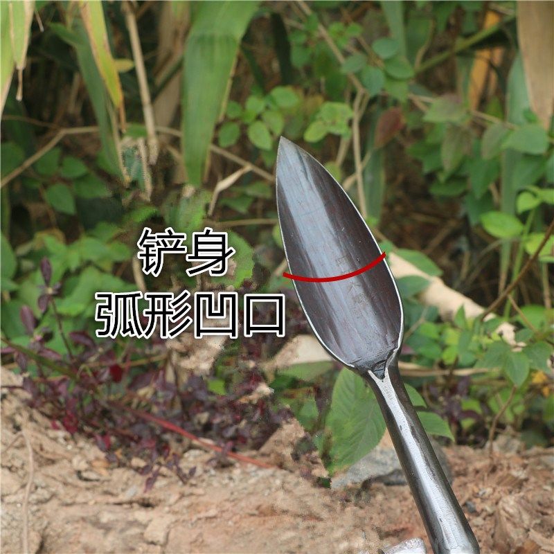 弹簧钢挖土铁锹老式锻打铁铲园艺工具松土挖沟打洞挖竹笋凹口铲子,淘宝优惠券,粉丝福利购,淘宝优惠卷