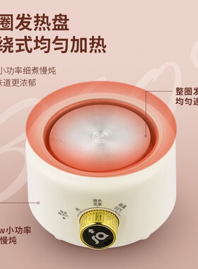 桌面烧水壶炖煮养生壶迷你mini家用多功能办公室小型煮茶器玻璃杯