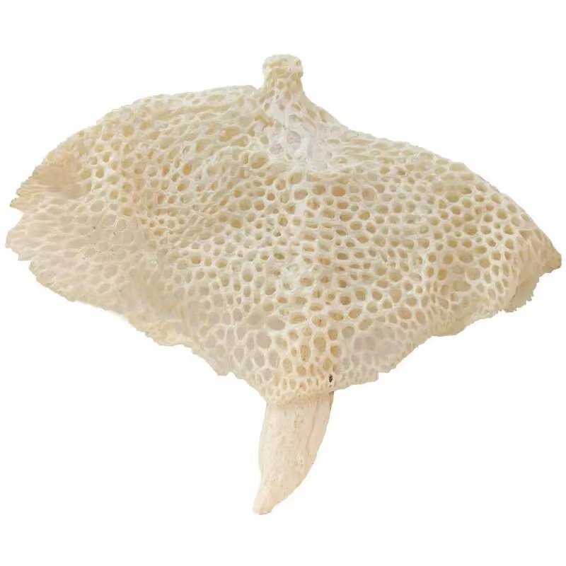 四川宜宾蜀南竹海宜宾特产长裙竹荪干货净重煲汤火锅佳品50g,淘宝优惠券,粉丝福利购,淘宝优惠卷