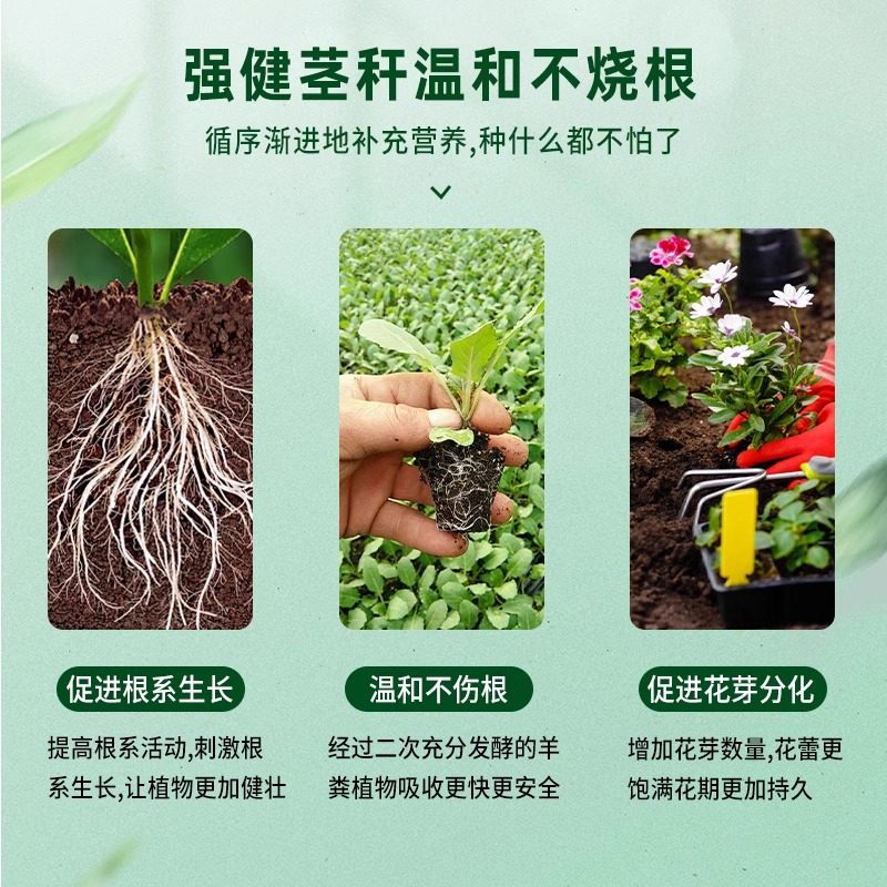 羊粪发酵有机肥料蔬菜专用不烧根苗羊粪农家肥种花种菜通用营养士,淘宝优惠券,粉丝福利购,淘宝优惠卷