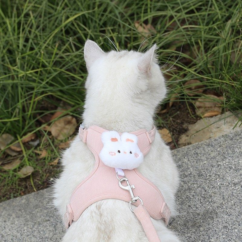 猫咪牵引绳猫绳可爱幼猫小型狗狗牵引绳专用背带可调节溜猫防挣脱,淘宝优惠券,粉丝福利购,淘宝优惠卷