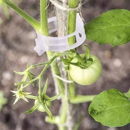 黄瓜西红柿豆角爬藤枝条固定器绿植蔬菜捆绑扎带藤蔓专用园林工具 - 图1
