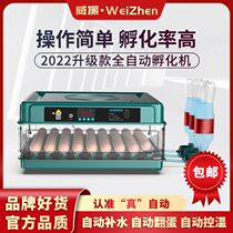 (High Hatchability) Weizhen Small Home Automatic Water Bed Incubators Mini Hatchery Small Chicken Hatching Box
