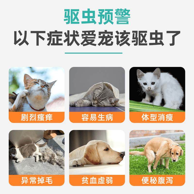 狗狗驱虫药体内外驱虫药芬苯达唑片泰迪猫咪幼犬宠物猫体内驱虫药,淘宝优惠券,粉丝福利购,淘宝优惠卷