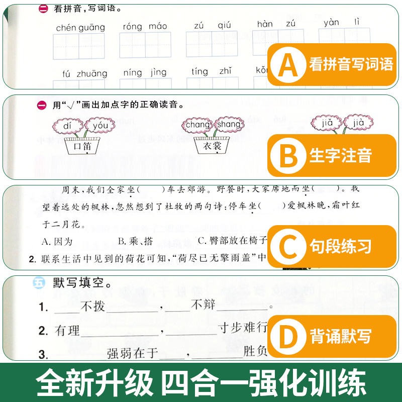 看拼音写词语一二三四五六年级上册下册人教版默写全能小学语文专项练习册同步训练生字注音练习默写纸拼读训练能手拼音专项训练书-图1