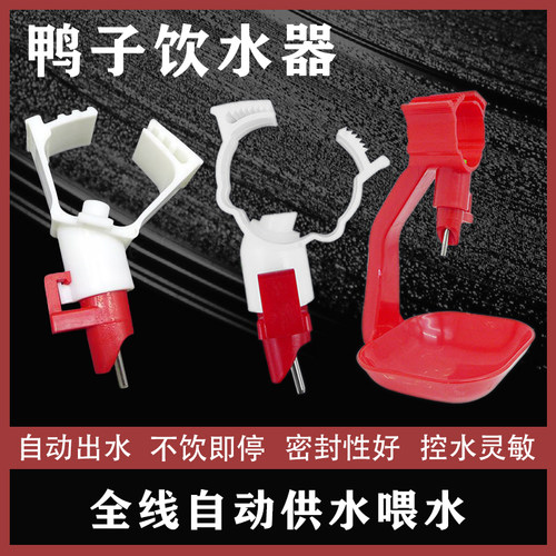 鸭子钢球饮水器鸭用自动水嘴乳头饮水器养殖养鸭设备用品鹅用水嘴 - 图1