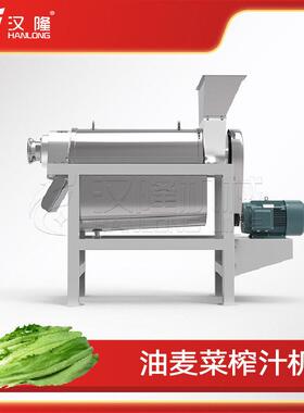 小型工业果蔬螺旋榨汁机油麦菜破碎榨汁机水果蔬菜打汁机厂家直销