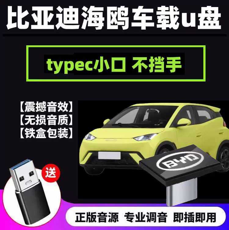 比亚迪海鸥车载u盘typec小口无损歌曲汽车车用海鸥专用u盘带音乐