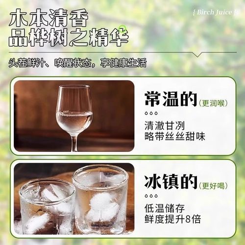 白桦树汁100%原汁无糖天然原液长白山白桦树汁纯木本植物饮桦树水 - 图3