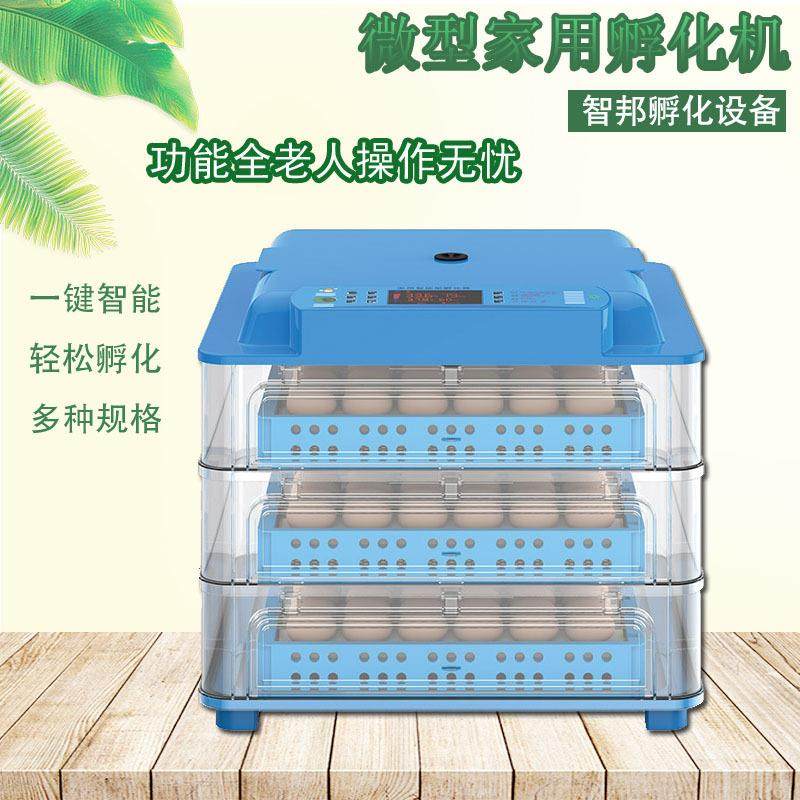 微型家禽种蛋孵化箱小鸡孵化器家用小型孵蛋器孵化机全自动,淘宝优惠券,粉丝福利购,淘宝优惠卷