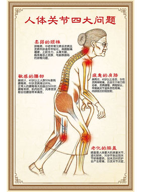 中医养生馆美容院膝关节痛的症状挂画挂图宣传海报kt板