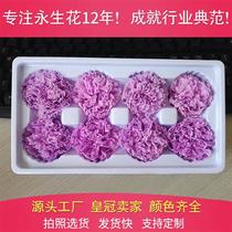 Yunnan Kunming Kunming Flower Head Mothers Day Birthday Gifts Evergreen Flowers Birthday gift Refreshing Flowers Gift