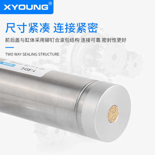 费斯托型DSEU32立达纺织机气缸DSEU3E2-80-P-A-SA不锈钢迷你气缸 - 图1