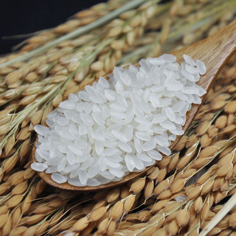 当季五常大米新米上市GB/T19266东北米5斤优质一等梗米2025年香米,淘宝优惠券,粉丝福利购,淘宝优惠卷