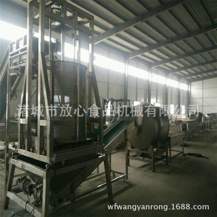 全自动果蔬压榨机价格 盐渍菜压榨机生产厂家 支持按需制做,淘宝优惠券,粉丝福利购,淘宝优惠卷