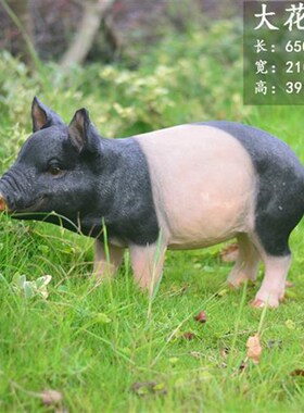 花园超市动物假猪装饰玻璃钢仿真小猪雕塑L摆件树脂两头乌黑猪模