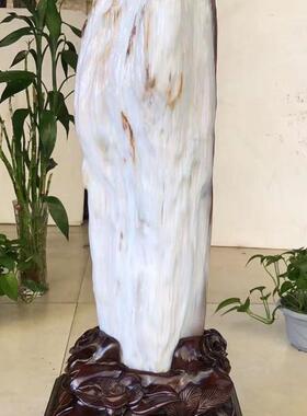 缅甸树化石原石天然硅化木奇石客厅石头木化石冰种树化玉桌面摆件