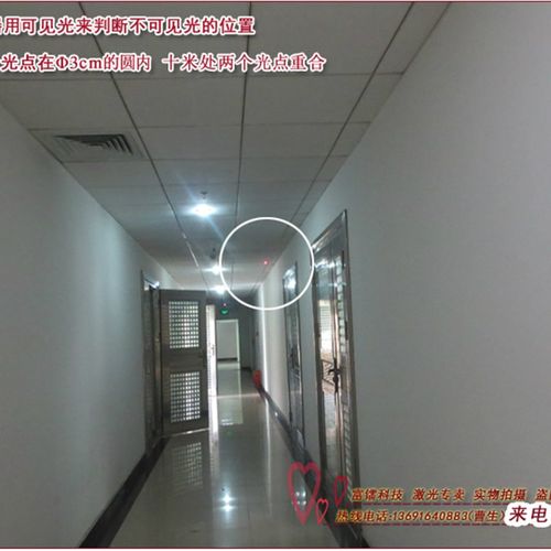 可见光与不可光双通道激光模组 半导体激光器 P定位激光灯 可定做 - 图2