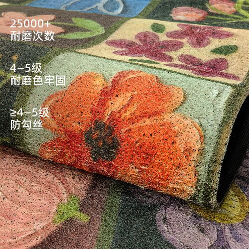 2025新款入户门地垫丝圈高级感进门门口玄关地毯防滑可裁剪脚踏垫 - 图0