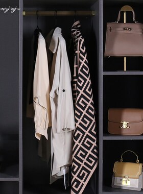轻奢咖色衣帽间衣柜衣服t摆件全屋定制样板房间饰品收纳箱高跟鞋