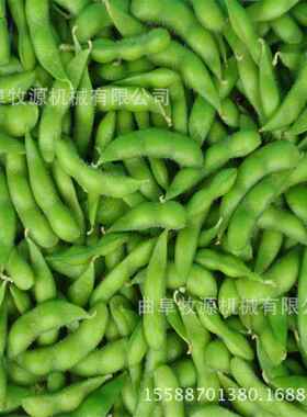 江毛苏动豆采摘机毛价格柴油机带青豆采摘机厂家现货
