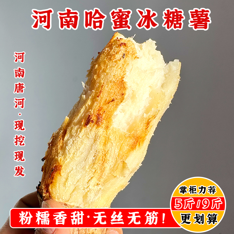 河南哈密冰糖薯白心红薯地瓜番薯白薯中果食用农产品3/5/9斤大果 - 图1