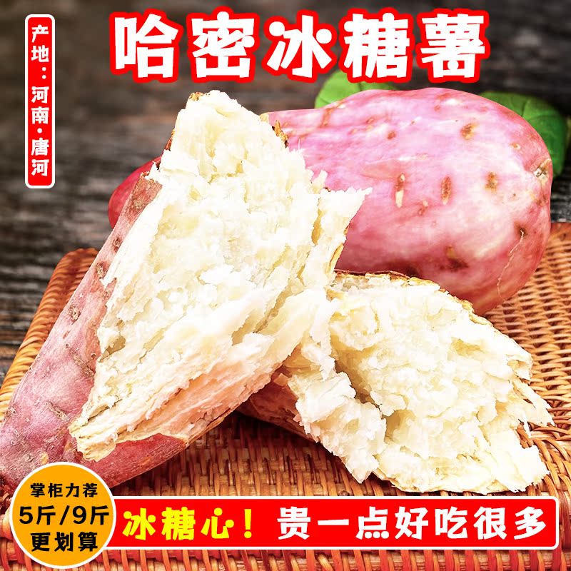 河南哈密冰糖薯白心红薯地瓜番薯白薯中果食用农产品3/5/9斤大果 - 图0