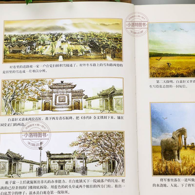 官方正版 白鹿原原著 精装典藏版完结版 茅盾文学奖得者陈忠实纪念出版20周年爱情 现当代农村青春文学小说 畅销书籍排行榜 - 图1