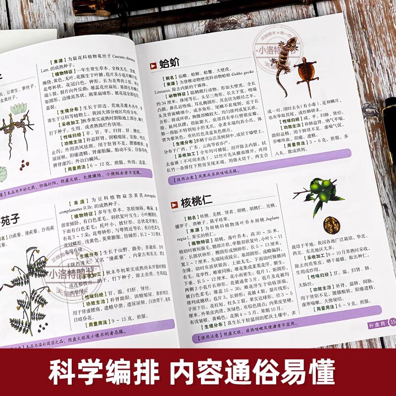 官方正版 彩图全图全解中草药大全 中药材识别图鉴书籍 中医入门中草药大全书籍药材植物彩图中药大全书中医大全书中草药图鉴书,淘宝优惠券,粉丝福利购,淘宝优惠卷