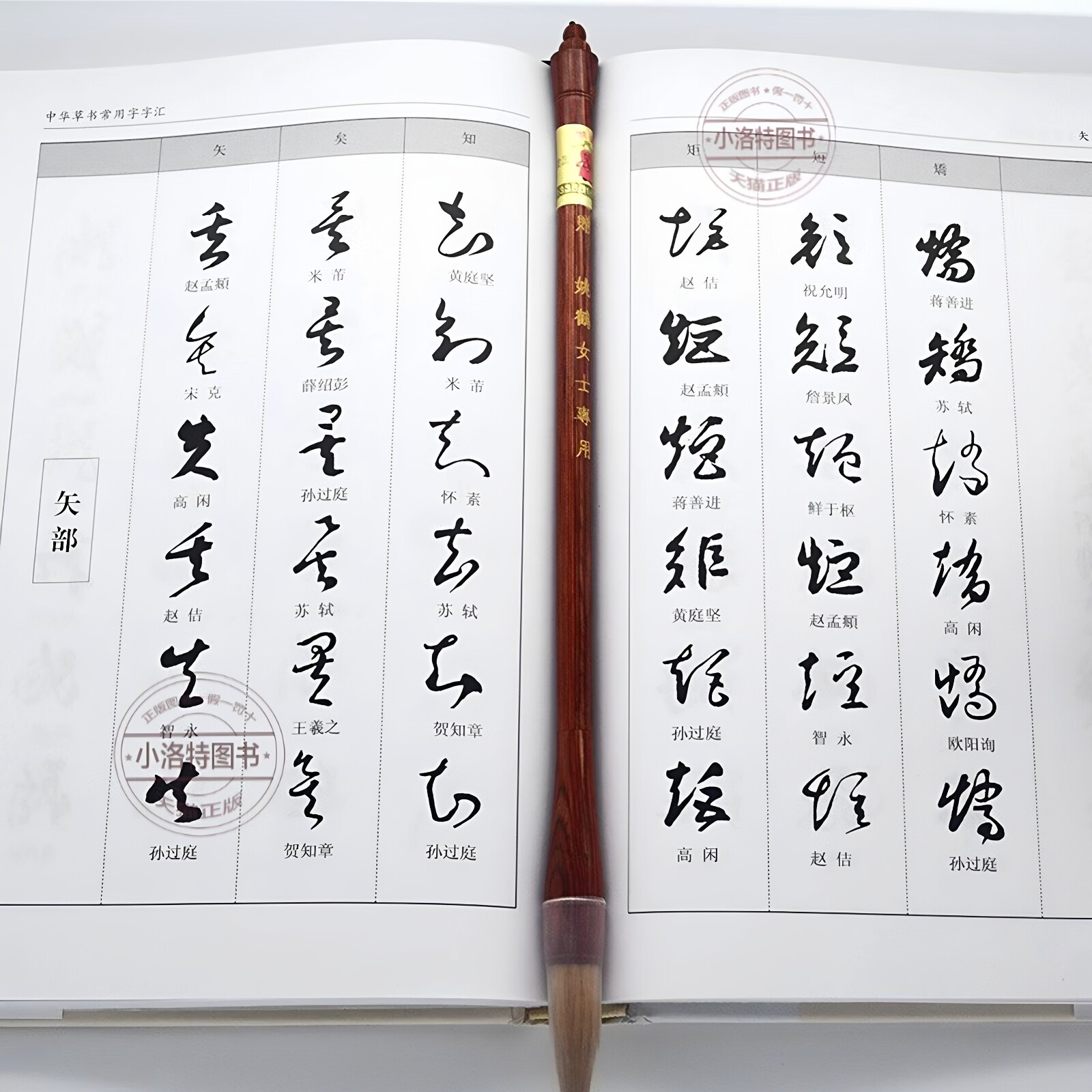 官方正版 中华草书常用字字汇中国书法草书技法字典 含孙过庭智永怀素王羲之黄庭坚 米芾 等毛笔字体作品集草书字帖书谱书籍大字典