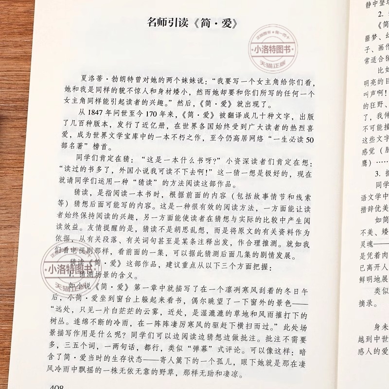 【2025完整版】简爱和儒林外史九年级必读人教版下册课外阅读书籍语文经典名著初中生九下必读书目老师推荐人民教育正版原著出版社 - 图1