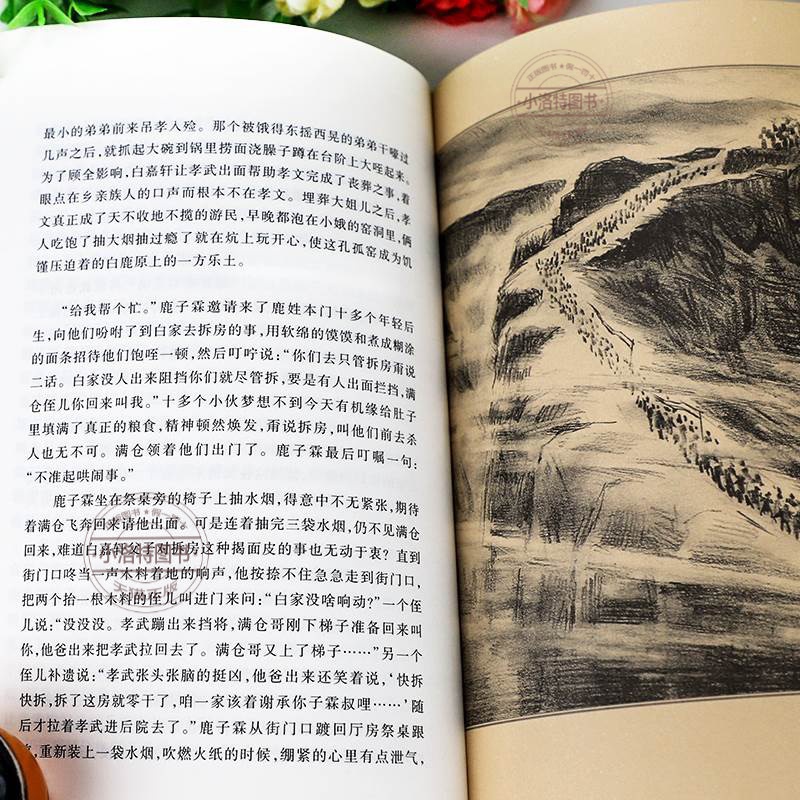 官方正版 白鹿原原著 精装典藏版完结版 茅盾文学奖得者陈忠实纪念出版20周年爱情 现当代农村青春文学小说 畅销书籍排行榜 - 图2