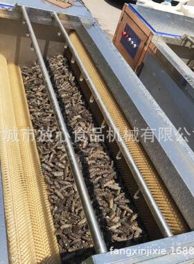 海参脱盐机清洗机厂家 不锈钢毛辊清洗机价格 多功能海鲜清洗机