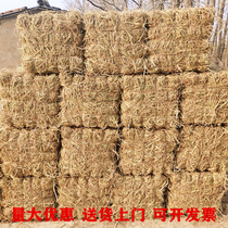 Straw Staccato Hay Straw Farmhouse Musical Straw Decorated Square Round Straw Stacker Shooting Props Grass Stacking Bench