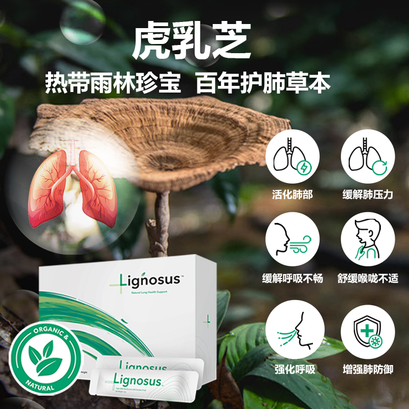 Lignosus 虎乳芝灵芝呵护肺部畅快呼吸调理润肺 非槲皮素 - 图1