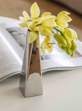 创意花瓶不锈钢花瓶高级感插花器简约轻奢样板Q房软装饰单支小花