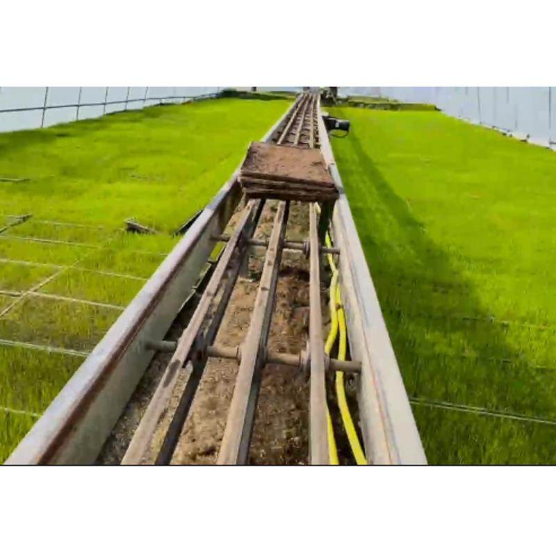 秧盘流水线运输线 苗盘输送线 输送秧苗设备 Q工厂化育苗运输车床,淘宝优惠券,粉丝福利购,淘宝优惠卷