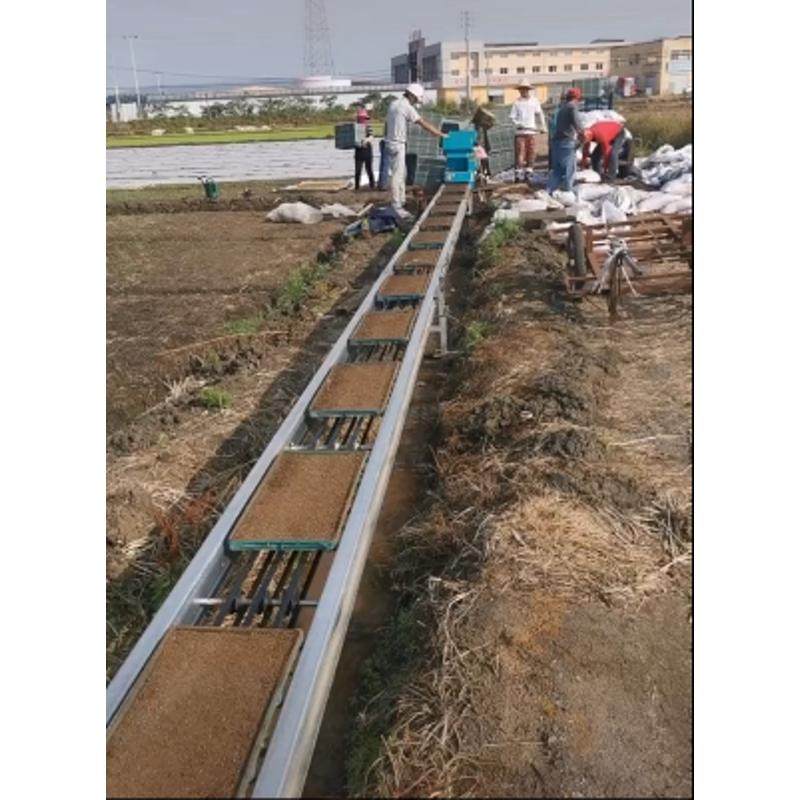 秧盘流水线运输线 苗盘输送线 输送秧苗设备 Q工厂化育苗运输车床,淘宝优惠券,粉丝福利购,淘宝优惠卷