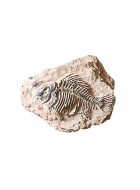 复古老钱风样板间装饰品矿石标本艺术小摆件书房书桌高端软装陈列