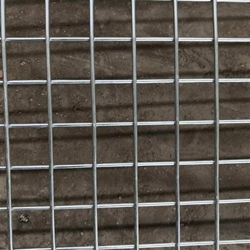 极速镀锌铁丝网钢l丝电焊网养殖网防护围栏铁艺网格货架铁网片狗 - 图2