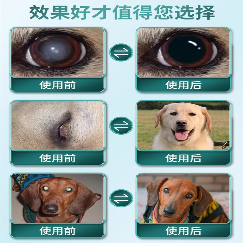 狗狗白内障专用眼药水中老年犬宠物猫眼睛发炎流脓抗菌消炎滴眼液 - 图1