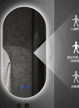 浴室镜子led带灯发光镜挂墙智能I防雾卫生间洗手台跑道镜