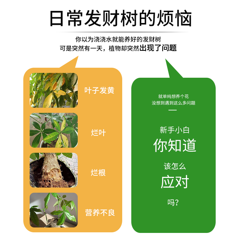 发财树营养液专用肥花肥料室内盆栽植物金钱树土水培通用免稀释-图1