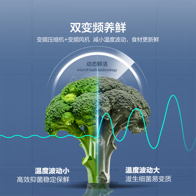 Haier produces Tongshuai 538L double-door refrigerator