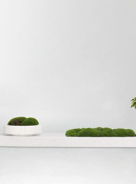 现代轻奢天然大理石盆仿真永生苔藓绿植J客厅酒店软装饰品桌面摆