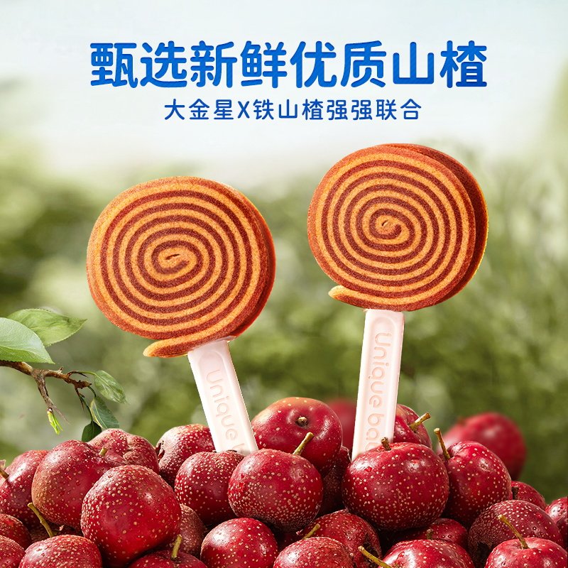 不二宝贝山楂棒棒糖水果条鸡内金儿童零食无添加送婴儿宝宝食谱